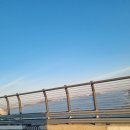 (주)영창시스템 | 울산에서 서울 영등포로 그랜드피아노 이사 후기