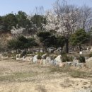 블루마린 캠핑장 이미지