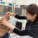 대성동물병원 이미지