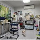 퍼피살롱 이미지