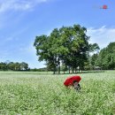 언덕카페 이미지