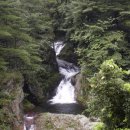 계곡이야기 이미지