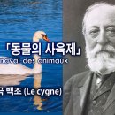 동물의 사육제 "백조" 이미지