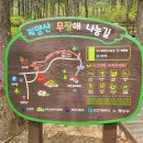 장미원 (산림욕장) 이미지