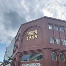 도캐도캐 | 연희네 낙지꼬막집/코롬방제과점/목포해상케이블카 유달산 승강장/삼학 크루즈/진도 운림산방/도캐도캐)