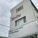 몰리뷰티 이미지