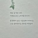 그림책 꽃 피었네 이미지