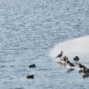 명서다리 앞 버스정류소 이미지