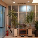 연세다인의원 이미지