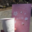 근수목장 | 제주도 나홀로여행 5박6일