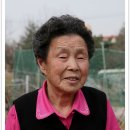 은총농장 Daum카페
