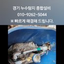 동구릉로103번길 이미지