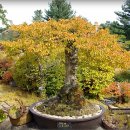 고요정원 이미지