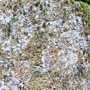 개천사 부도군 이미지