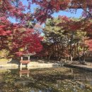 인터넷규장각 | 문화유산] 창덕궁, 창덕궁 후원, 창덕궁 후원 단풍(2025.11.16.) - 창덕궁 후원 인터넷 예약 방법, 후기