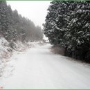 고운미소 이미지