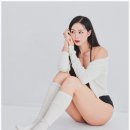헤일로짐 피트니스 판교점 네이버블로그