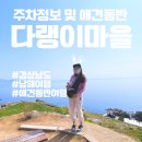 진교애견샵 - 하동군 민다리길 73 | 경남 여행 남해 다랭이마을 주차정보 및 애견동반여행(남해시금치, 칡즙)
