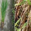 지프렌드 이미지