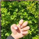 늘네일 | 부평 네일 잘하는 곳 네일,늘 방문 후기와 추천 포인트