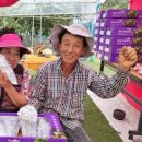 박선순 농장 이미지