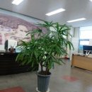 정바이오메디칼 이미지