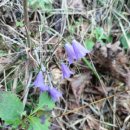 별립산농장 이미지