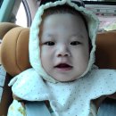 모모푸드 이미지