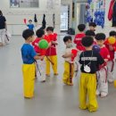 솔리유치원 이미지