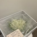 Wedding #11 - 일 년 반 넘게 준비한 본식 드디어 끝, 나의 웨딩데이 후기 ♡