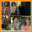 평강카센타 | 친절한 선주씨 10회 줄거리 리뷰 10화 11회 예고 진상아는 낮거리가 하고 싶어!... 결말 재방송 시청률...