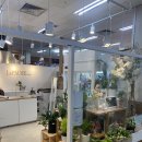 라포즈플라워 네이버블로그