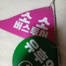 후쿠오카 근교 마스터! 소소버스투어 후기(내돈내산)