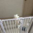 몸냥스테이 이미지