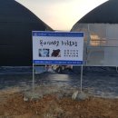 고삼농장 네이버블로그