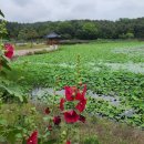 01-23 동구 이미지