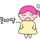 하노이포포 네이버블로그