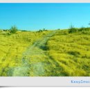 화이트밸리 이미지