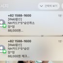 24년 10월 일상 (1)