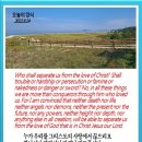 오늘의양식 네이버블로그