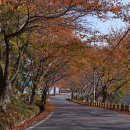 노량 해안도로길 이미지