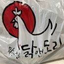 닭앤도리 이미지