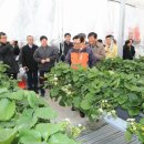 우듬지농장 이미지