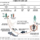대원프라스틱 이미지