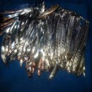 개도민박 이미지