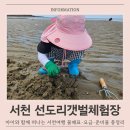 서천 아이와 가볼만한곳 선도리갯벌체험장 방문 후기! 아이 동반 필수 체크리스트