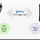 디커피 이미지