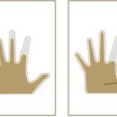 중앙의지보조기 이미지