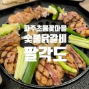 프랭크버거 파주운정아이파크점 | [파주운정맛집] 운정 호수공원 맛집 초롱꽃마을 숯불닭갈비 맛집 팔각도