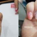 241오렌지